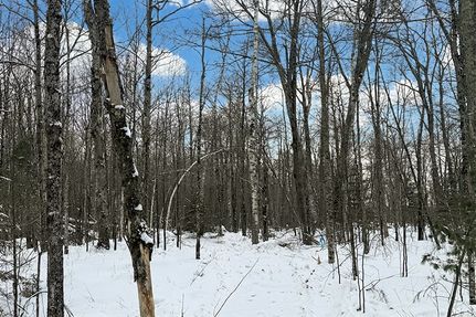 Property for sale in Sawyer County, Wisconsin