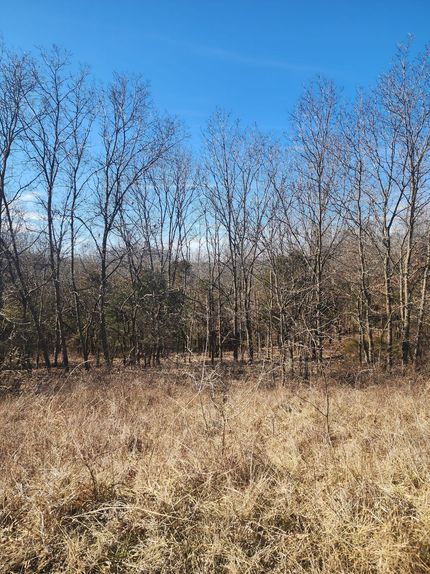 Property for sale in Saline County, Missouri