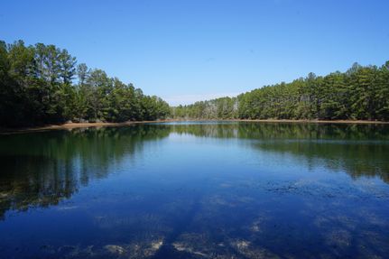 Hunting Land for sale in Conecuh County, Alabama