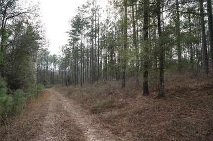 Property for sale in Bullock County, Alabama