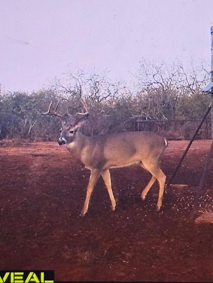 Property for sale in Jim Wells County, Texas