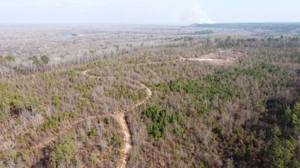 Hunting Land for sale in Calhoun County, South Carolina