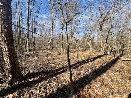 Property for sale in Scott County, Indiana