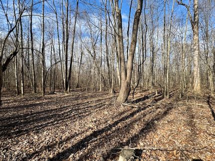 Property for sale in Scott County, Indiana