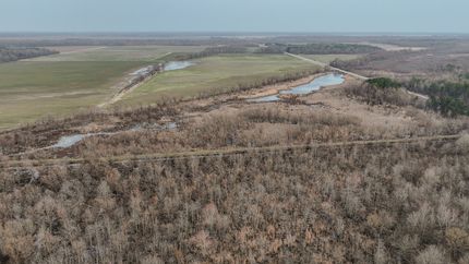 Undeveloped Land for sale in Monroe County, Arkansas