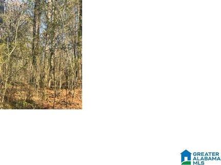 Property for sale in Talladega County, Alabama