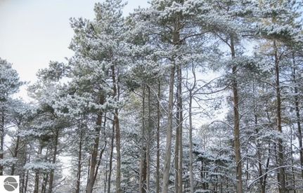 Undeveloped Land for sale in Grand Traverse County, Michigan