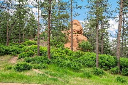 Property for sale in Douglas County, Colorado