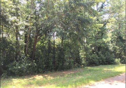 Property for sale in Lee County, Georgia