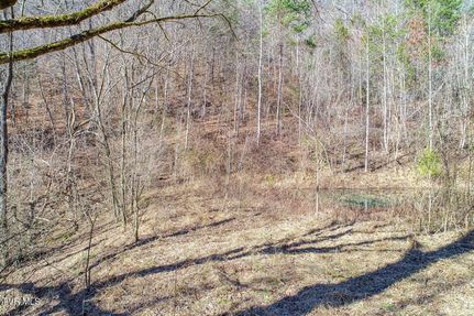 Property for sale in Hancock County, Tennessee