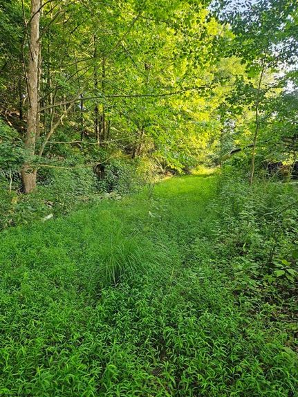 Property for sale in Monongalia County, West Virginia