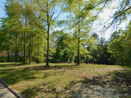 Property for sale in Covington County, Alabama