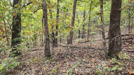 Undeveloped Land for sale in Marion County, Arkansas