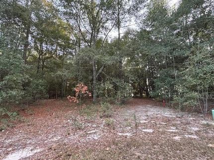 Property for sale in Decatur County, Georgia