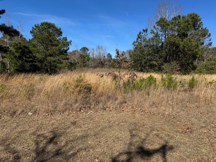 Property for sale in Colleton County, South Carolina