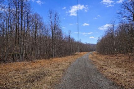 Undeveloped Land for sale in Barbour County, West Virginia