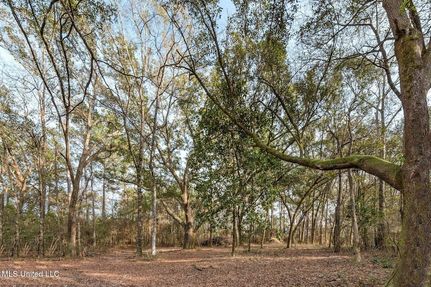 Property for sale in Jackson County, Mississippi