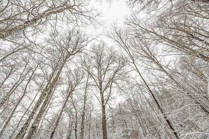 Property for sale in Vilas County, Wisconsin