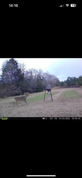 Property for sale in Barbour County, Alabama