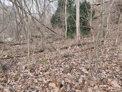 Property for sale in Blount County, Tennessee