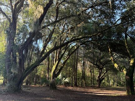 Property for sale in Charleston County, South Carolina