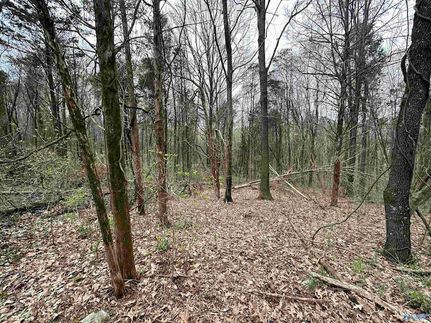 Property for sale in Madison County, Alabama