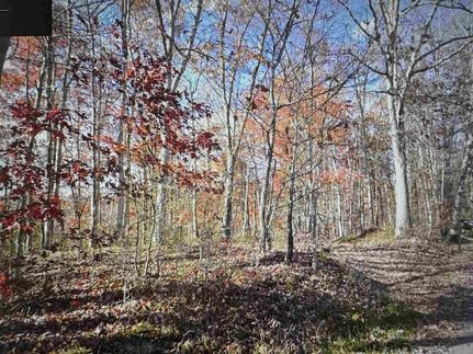 Property for sale in Webster County, West Virginia