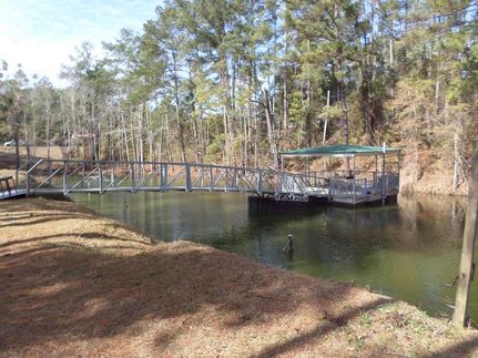 Property for sale in Decatur County, Georgia