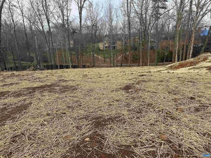 Property for sale in Albemarle County, Virginia