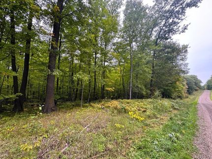 Undeveloped Land for sale in Aitkin County, Minnesota