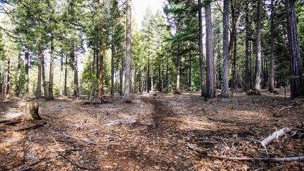 Property for sale in Shasta County, California