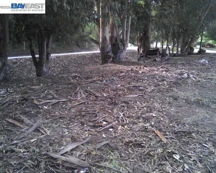 Property for sale in Alameda County, California