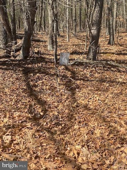 Undeveloped Land for sale in Berkeley County, West Virginia