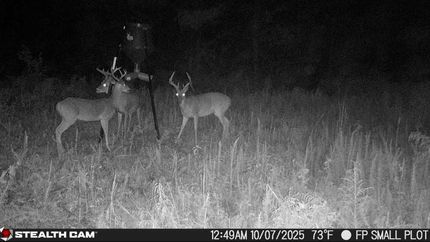 Property for sale in Franklin County, Mississippi