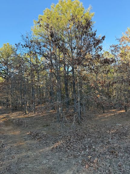 Property for sale in Atoka County, Oklahoma