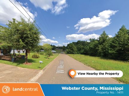 Property for sale in Webster County, Mississippi
