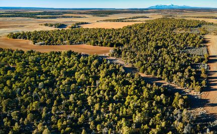 Horse Property for sale in San Juan County, Utah