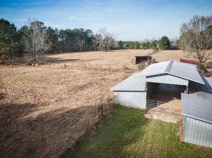 Timberland Property for sale in Webster Parish, Louisiana