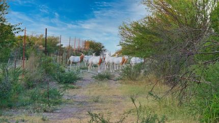 Property for sale in Kinney County, Texas