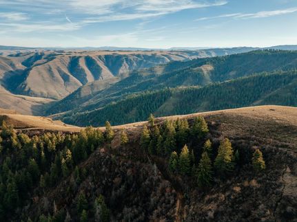 Property for sale in Idaho County, Idaho