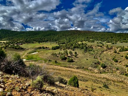 Property for sale in Rio Arriba County, New Mexico