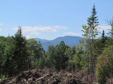 Undeveloped Land for sale in Franklin County, Maine