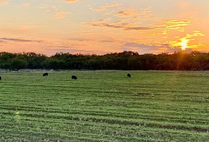 Property for sale in Montague County, Texas