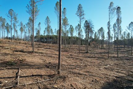 Property for sale in Wayne County, Tennessee