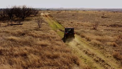 Farm Property for sale in Young County, Texas