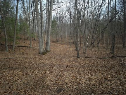 Undeveloped Land for sale in Frederick County, Virginia