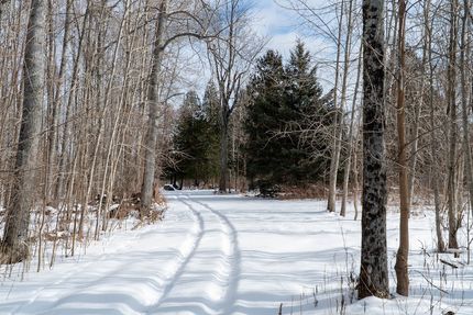 Property for sale in Alpena County, Michigan