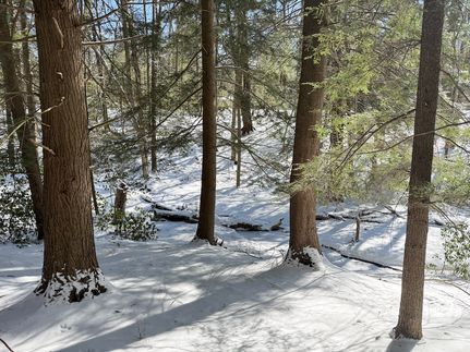 Property for sale in Warren County, Pennsylvania