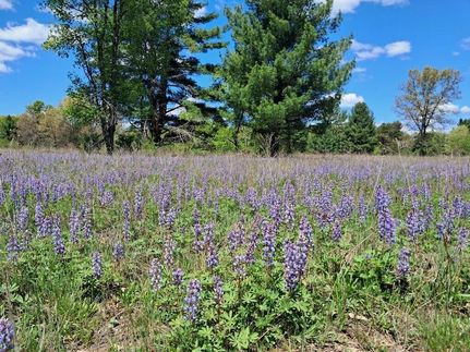 Property for sale in Newaygo County, Michigan