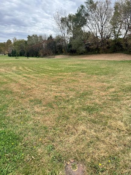 Property for sale in Brown County, Minnesota